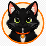 Doi the tuxedo cat